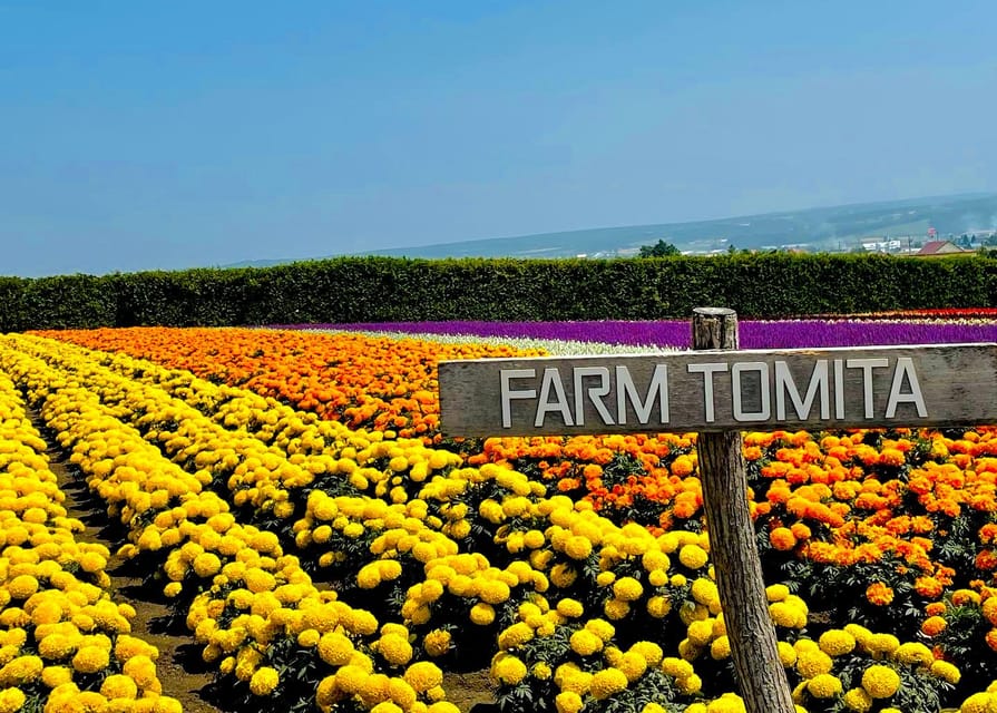 Hokkaido Furano Tomita Farm Tour With Melon Buffet Option - Experience and Activities