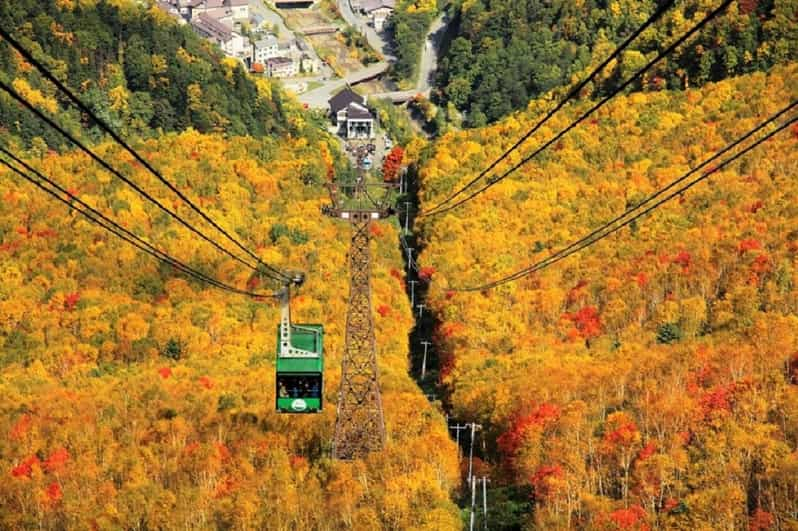 Hokkaido: Kurodake Ropeway, Asahiyama Zoo Autumn Leaves Tour - Kurodake Ropeway Experience