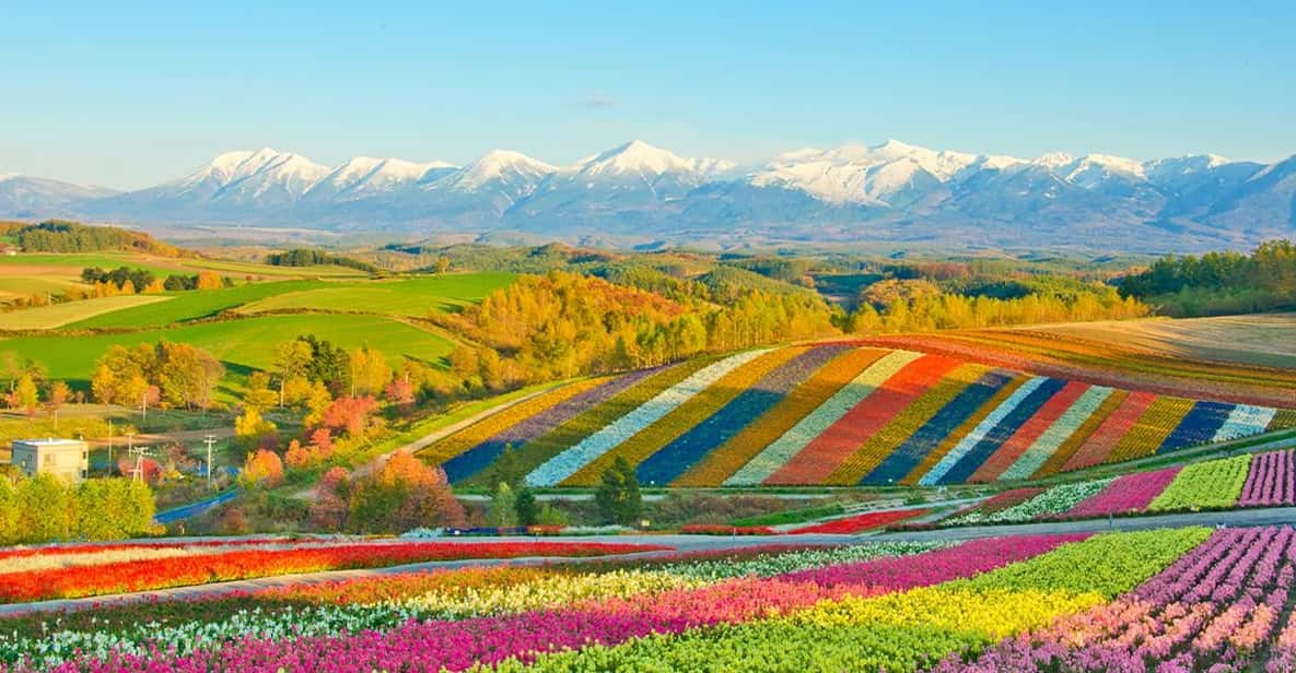 Hokkaido:Biei, Flower Sea Full-Day Tour With Lunch Options - Key Attractions