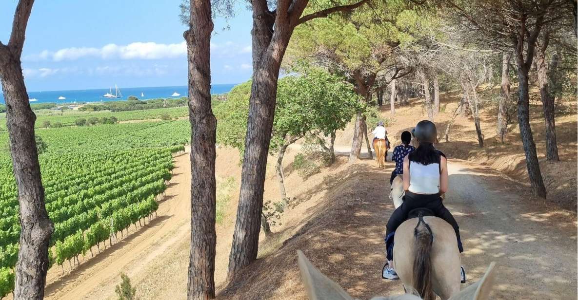 Horse Back Riding + Wine Tasting in Ramatuelle - Duration and Price