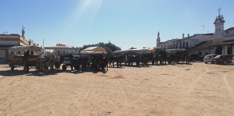 Horse-Drawn Carriage Route Through Doñana Park and The Villa - Participant Restrictions