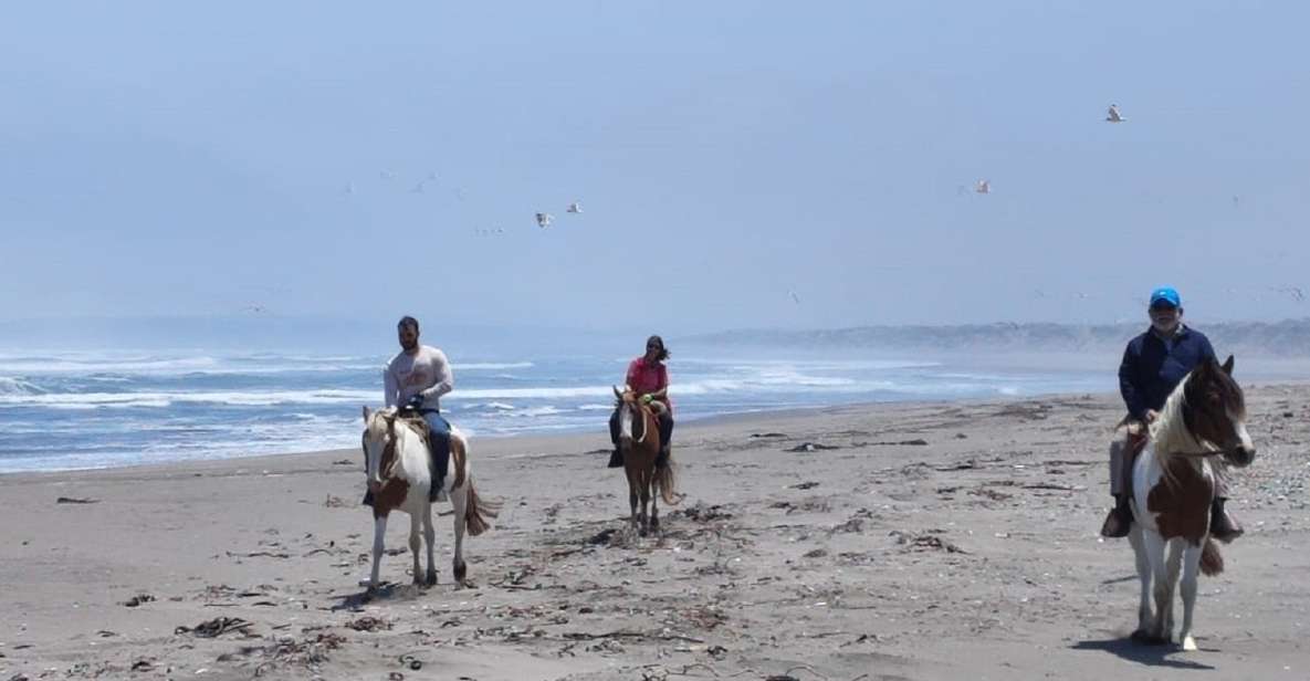 Horse Riding & Barbecue, Ritoque Sand Dunes & Beach F. Valpo - Itinerary Highlights