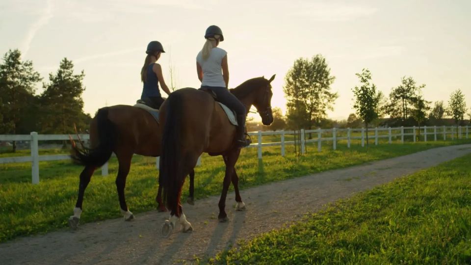 Horse Riding Tour in Alanya - Experience Highlights