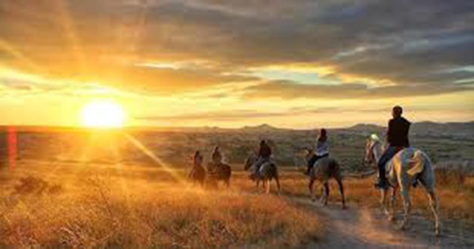 Horse Riding Tour - Experience Highlights