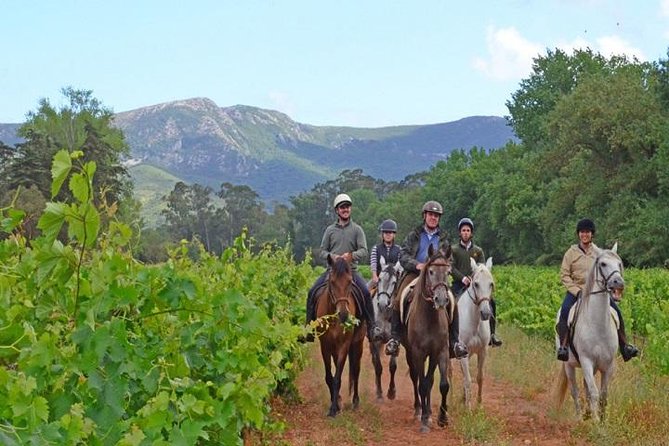 Horseback Riding In Lisbon - Arrábida - Louro Trail Mountain 5 - 6 Hours - Itinerary Highlights