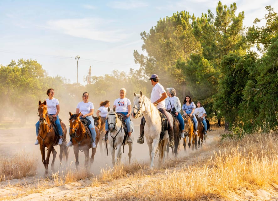 Horseback Riding on the Beach +Tapas + Photo Report - Booking Your Experience