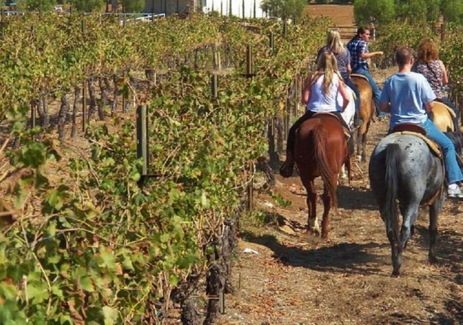 Horseback Ridings & Wine Tastings in San Gimignano - Horseback Riding Highlights