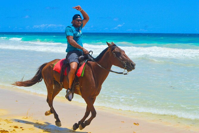 Horses, Water Cave, Coffee Test, Cigars, Punta Cana - Transportation and Accessibility