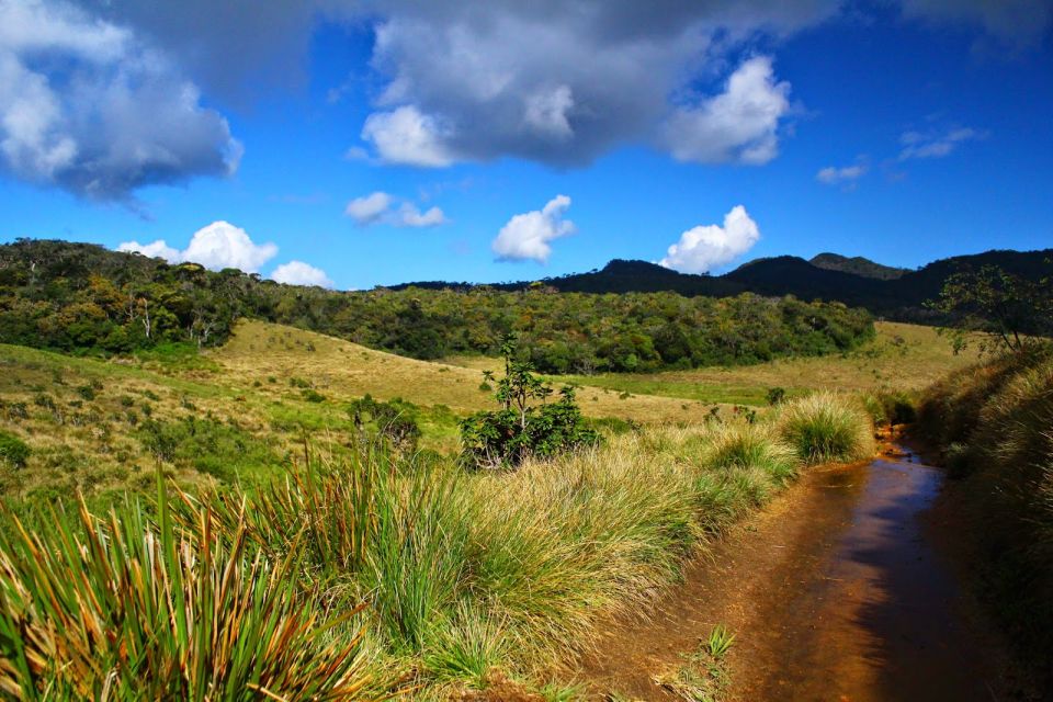 Horton Plains National Park Tour & Scenic Train Ride - Itinerary and Experience