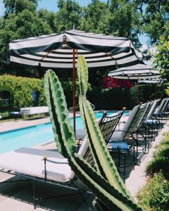 Hotel Saint Cecilia - Location and Accessibility