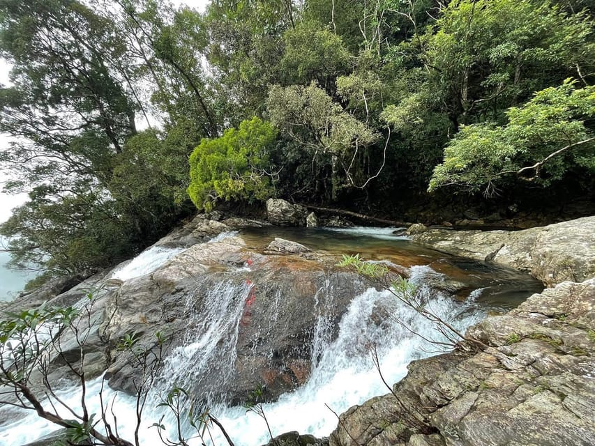 Hue to Bach Ma National Park Round-Trip by Private Car - Highlights of the Tour