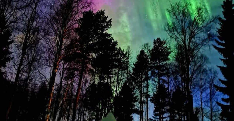 Hunting Aurora With BBQ in Small Group - Experience Highlights