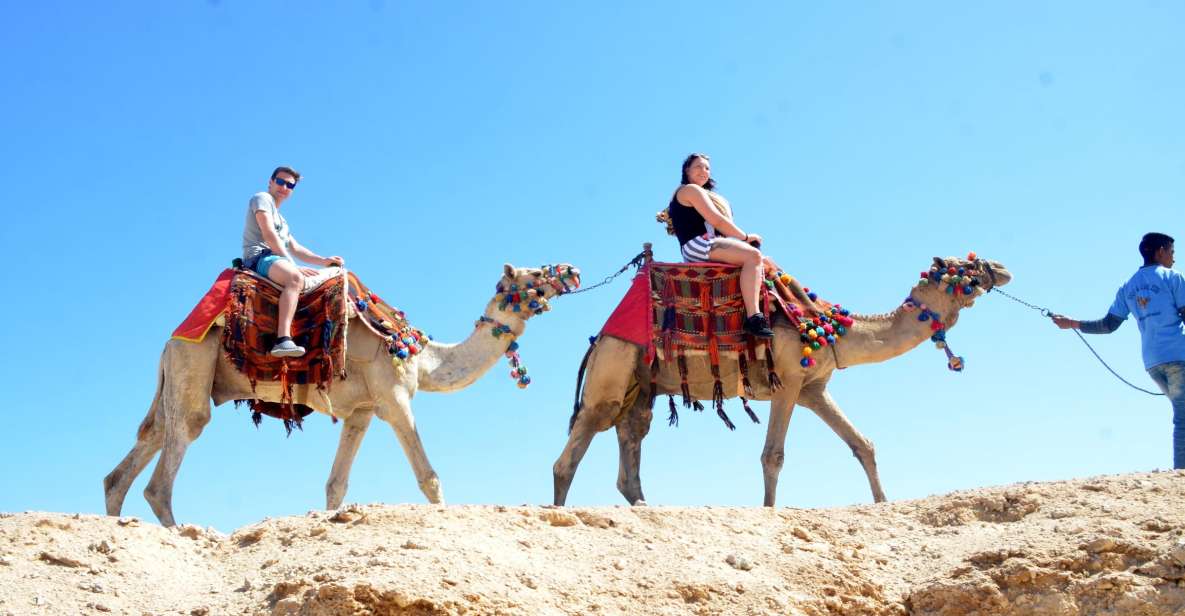 Hurghada: Sea & Desert Camel Ride W/Dinner, Show, Stargazing - Pricing Details