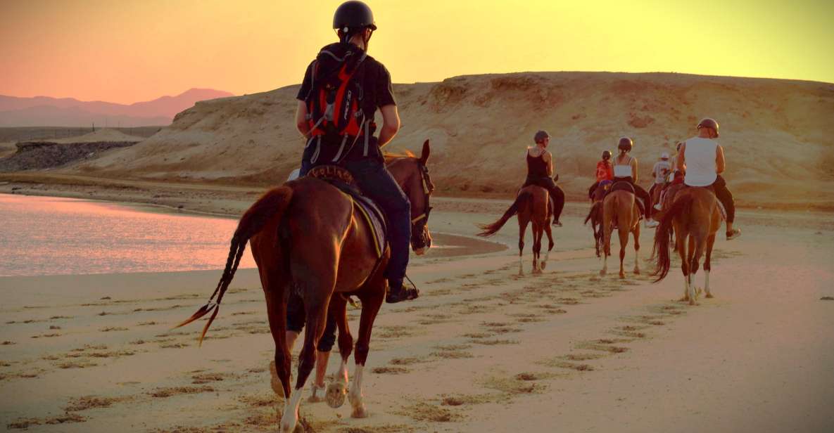 Hurghada: Sunset Sea, Desert Horse W Opt, Dinner, Stargazing - Itinerary and Highlights