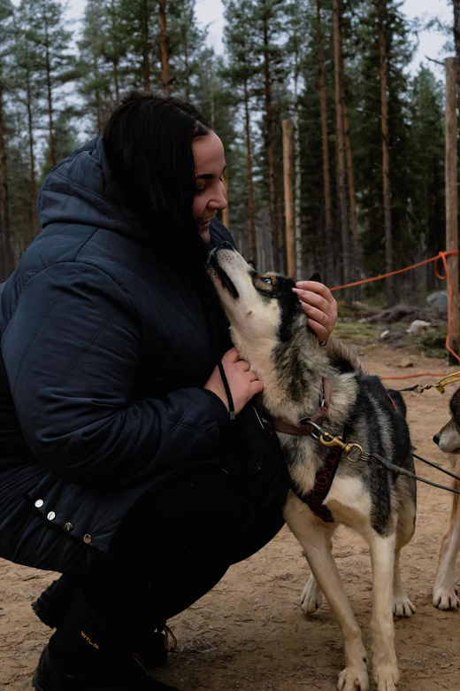 Husky Safari and Guided Tour. Autumn - Experience Highlights