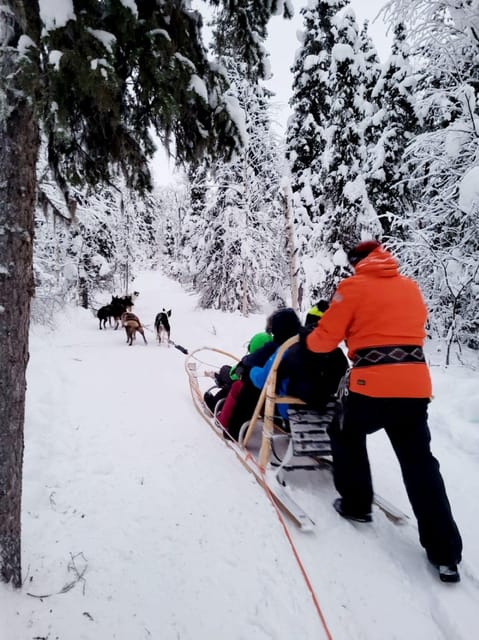 Husky Sledding Ride in Levi 5 KM - Highlights and Adventure