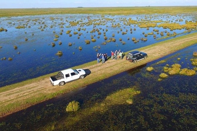 Ibera Safari - Diverse Wildlife and Ecosystems