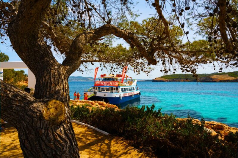 Ibiza: Beach Hopping Cruise W/ Paddleboard, Food, & Drinks - Itinerary and Activities