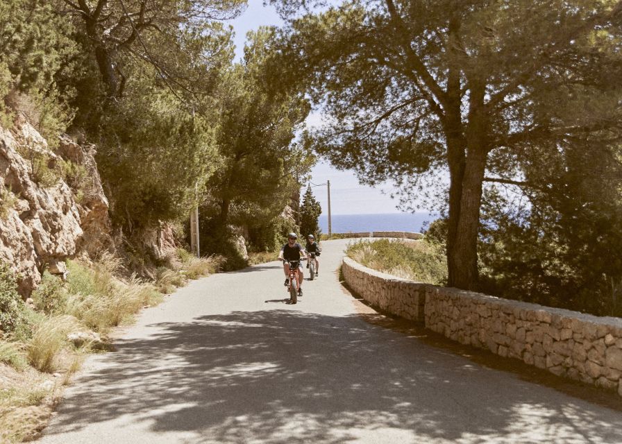 Ibiza: E-Bike Rental With Helmet - Rental Cost and Duration