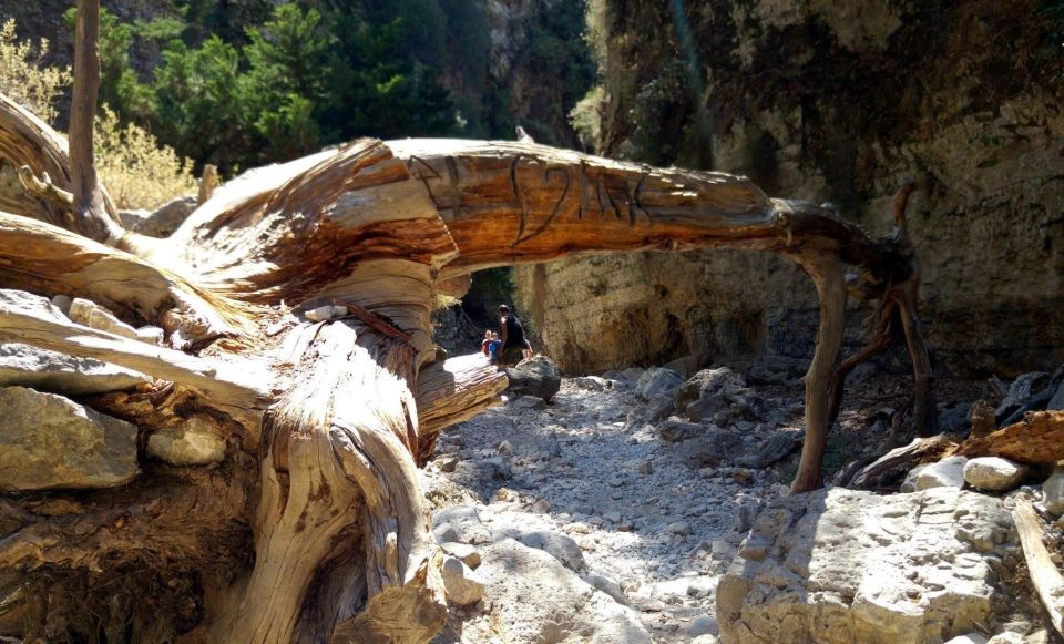 Imbros Gorge Hike From Rethymno - Itinerary Details