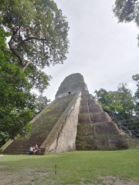 Impressive Tikal From Flores With Lunch - Itinerary Details