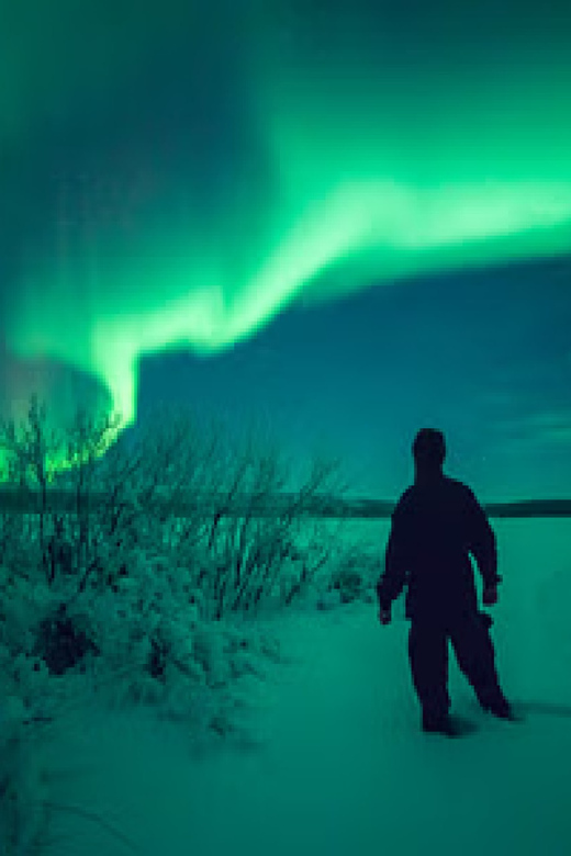 INARI : Northern Lights Safari With Heated Snowmobile Sleigh - Experience Highlights