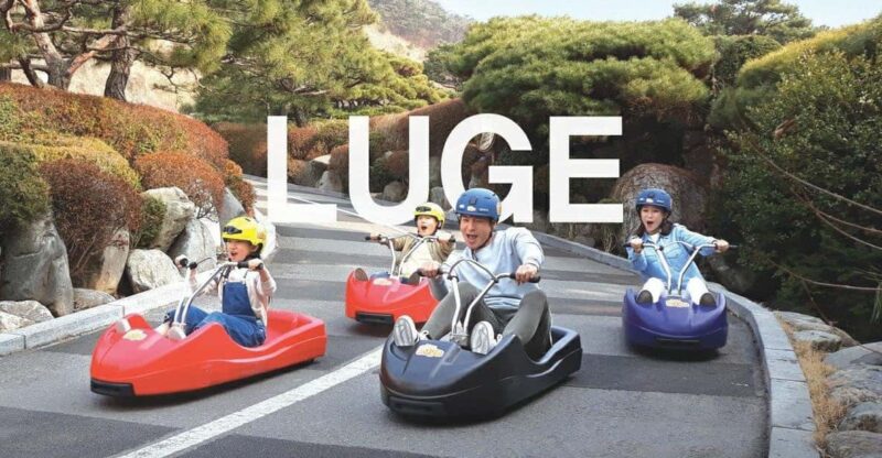 Incheon Private Tour | Luge / Honey Rice Cake / Amoene Cafe - Itinerary Details