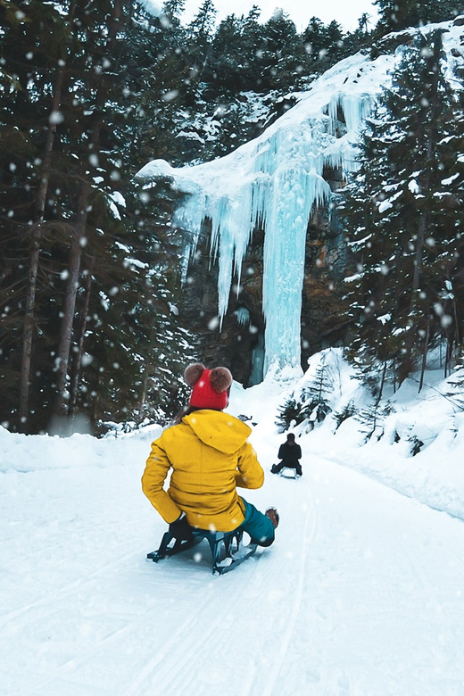 Interlaken: Guided Sledging Adventure - What to Expect