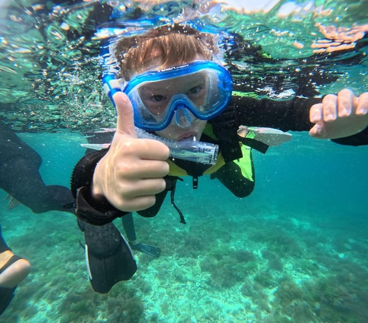 Iriomote: Coral Snorkeling and Yubujima Sightseeing Tour! - Whats Included