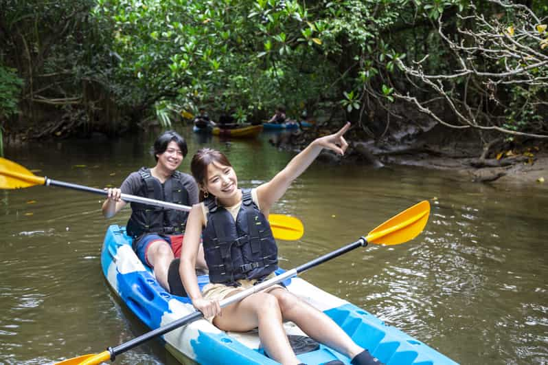 Iriomote Island: Kayaking and Snorkeling Tour - Kayaking Experience