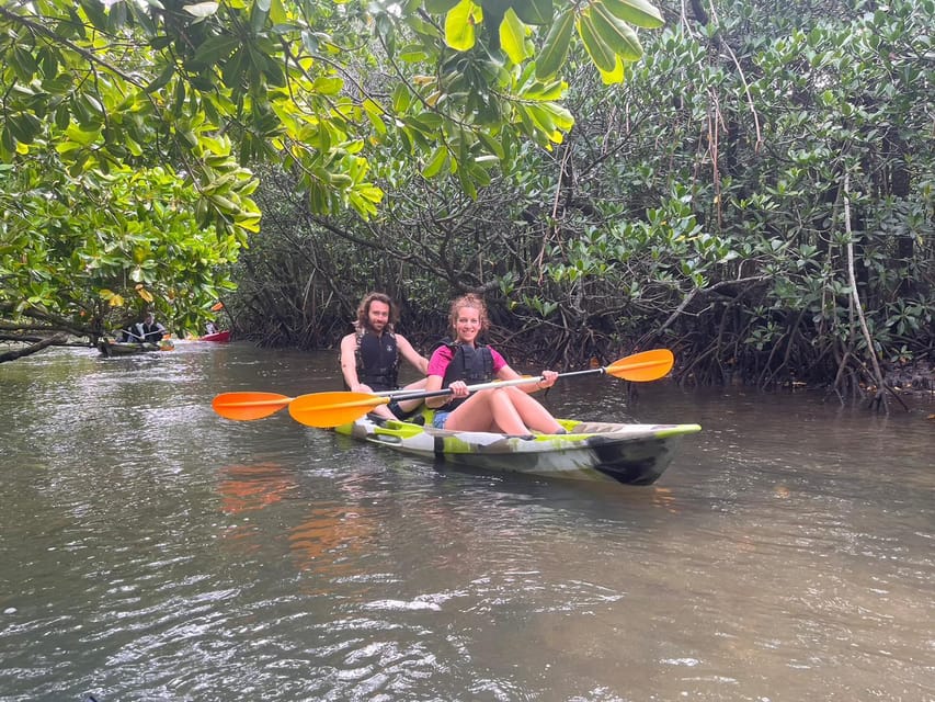 Iriomote Island: Mangrove River SUP Cruising Tour - Whats Included in the Tour