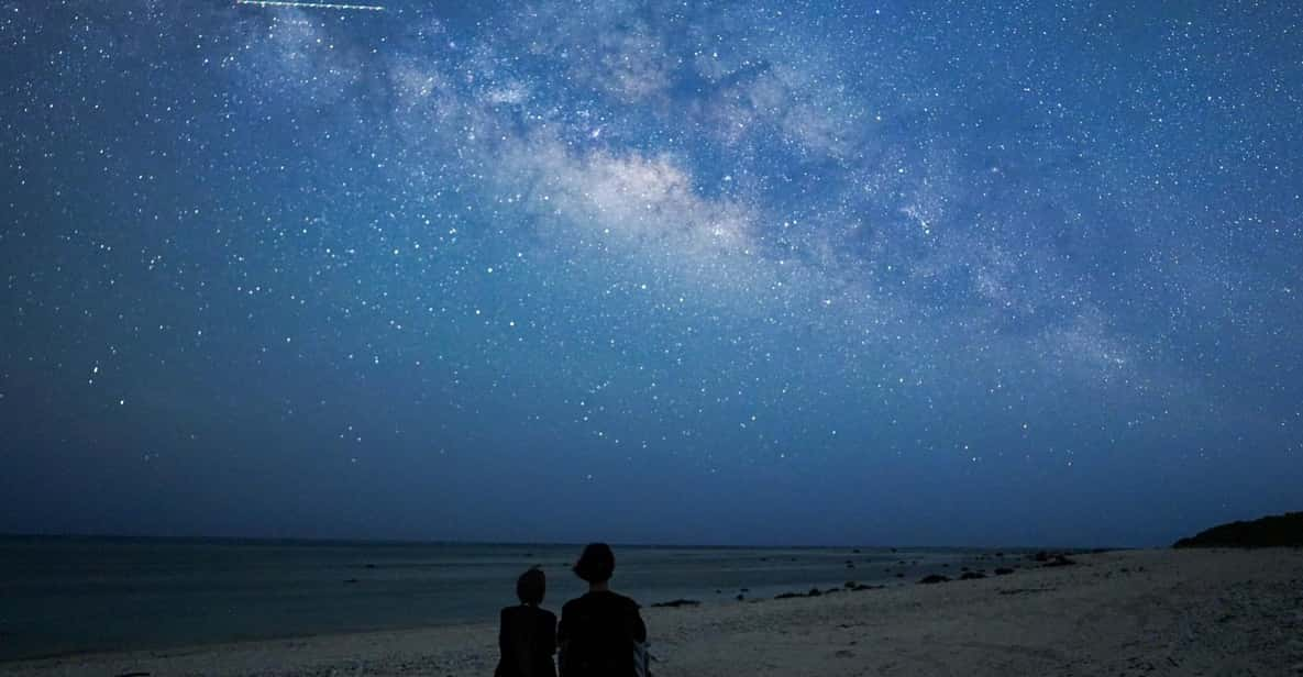 Ishigaki: Jungle Walk and Stargazing Night Tour - Detailed Tour Information