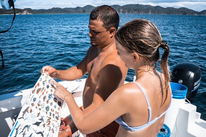 Isla Tortuga Boat Tour - From Paquera - Capacity and Pricing