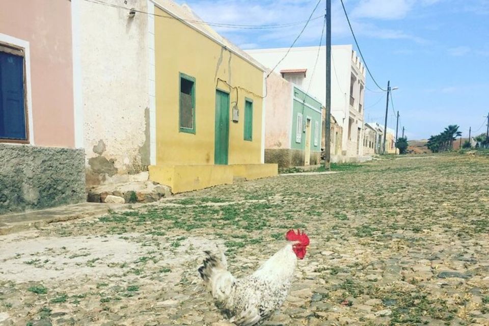 Island Tour & Cattle & Taste Local Flavors - Local Engagement and Learning