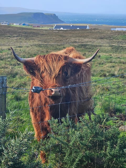 Isle of Skye: Tour the Highlights and Hidden Beauties. - Tour Pricing and Duration