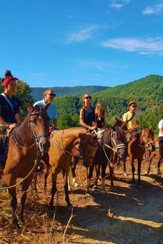 Istanbul: 1 Hours Horse Riding With Trained Horses - Location and Setting