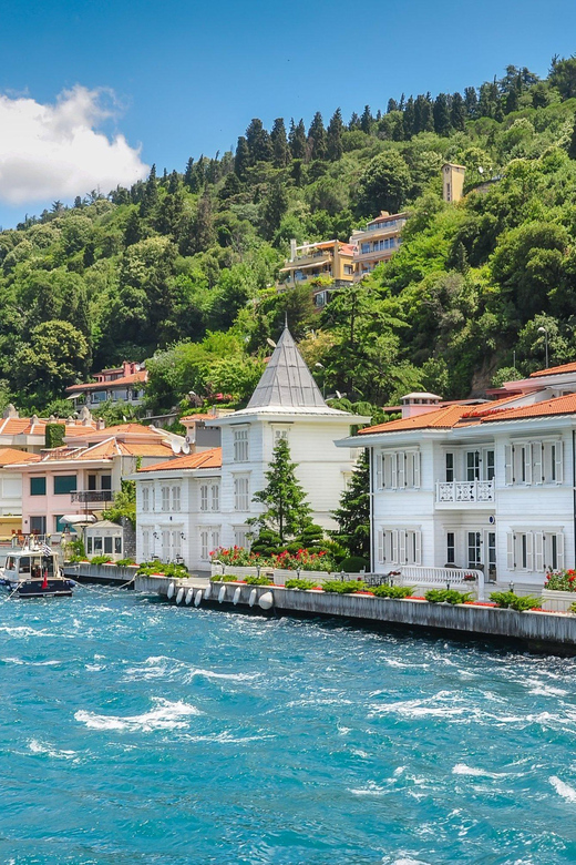 Istanbul: Prince Island Full Day Tour - Itinerary and Experience