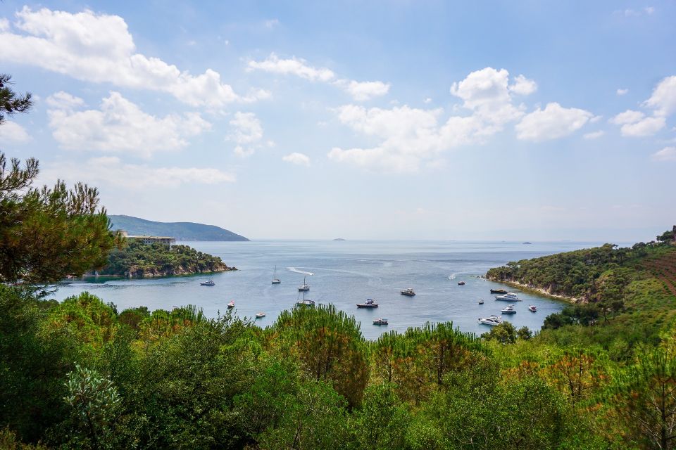 Istanbul: Princes Islands Cruise W/Music, Lunch & Transfer - Experience Highlights