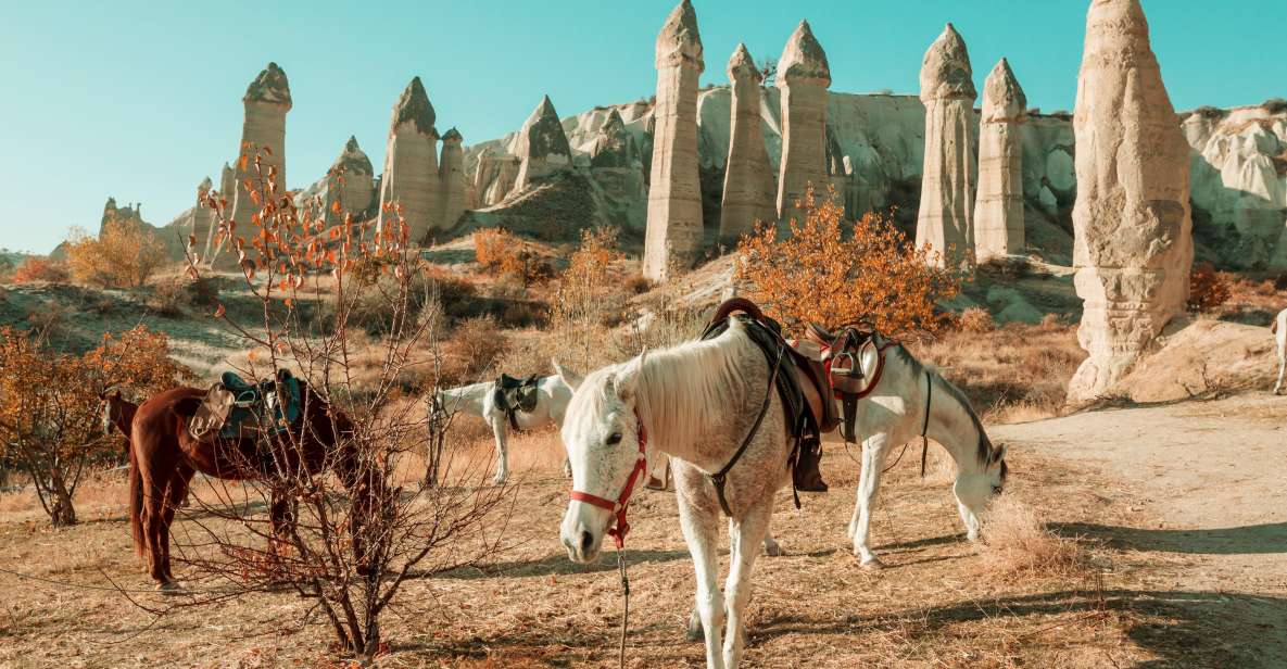 Istanbul to Cappadocia All Inclusive Private Day Tour - Itinerary Highlights