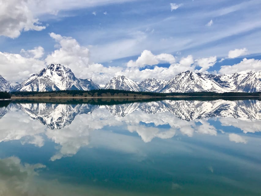 Jackson: Grand Teton Sunrise Safari With Naturalist Guide - Wildlife Spotting Opportunities