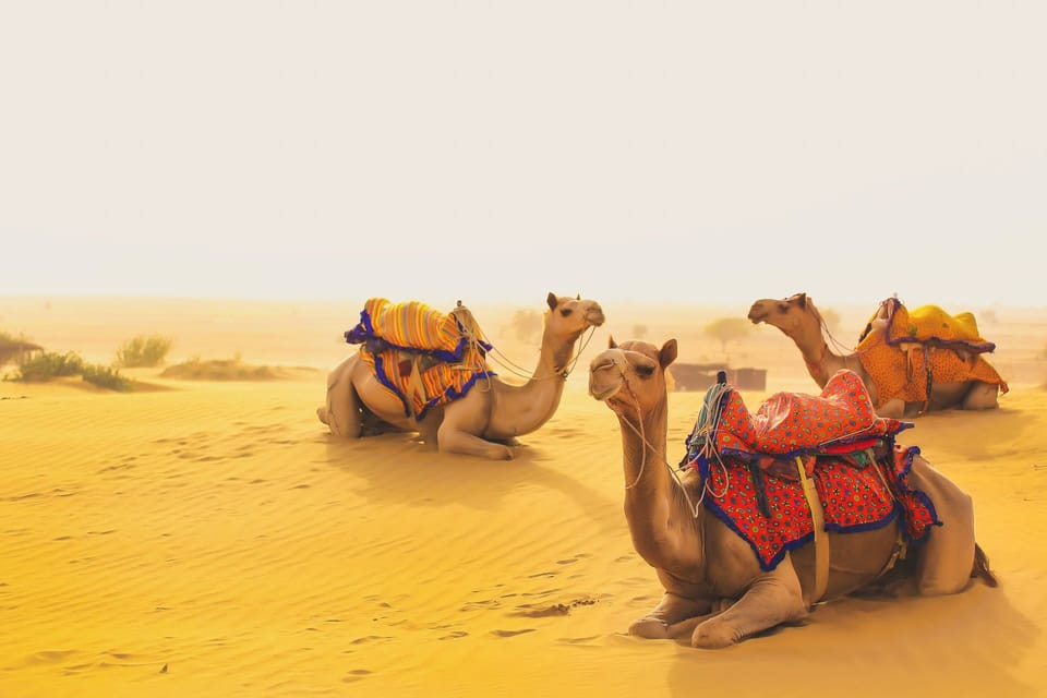 Jaisalmer Desert Camp With Rajasthan Cultural Dance 2N/3D - Accommodation and Meals