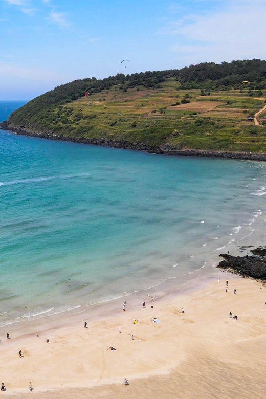 Jeju Highlight One Day Trip for Cruise Guests - Pickup and Drop-off Information