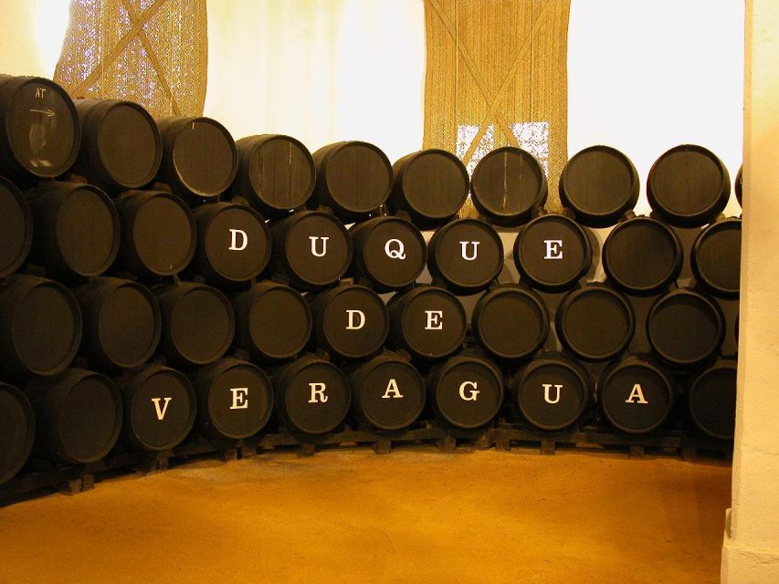 Jerez: Álvaro Domecq Wineries Guided Tour With Wine Tasting - Experience Highlights