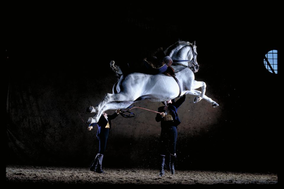 Jerez De La Frontera: Andalusian Horse Dance and Museums - Show Highlights