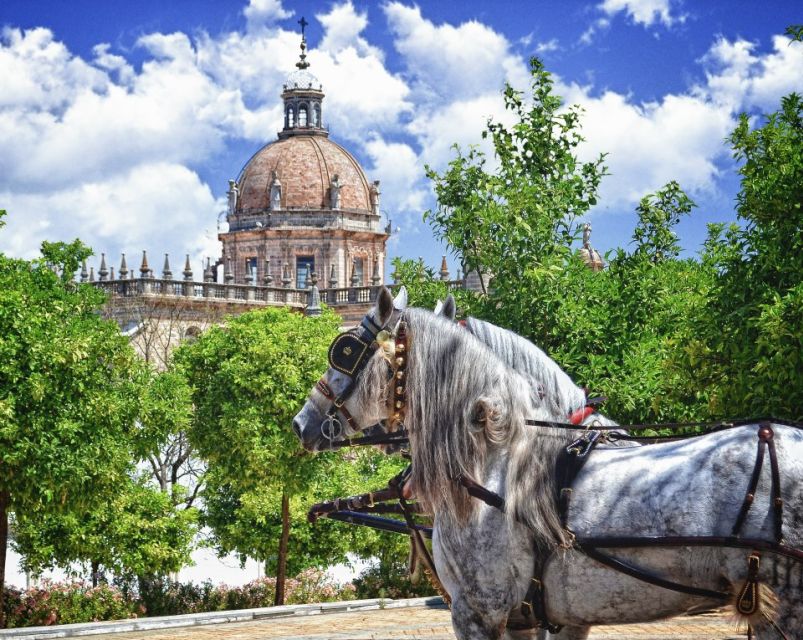 Jerez: Historic Center Guided Tour - Tour Highlights and Experience