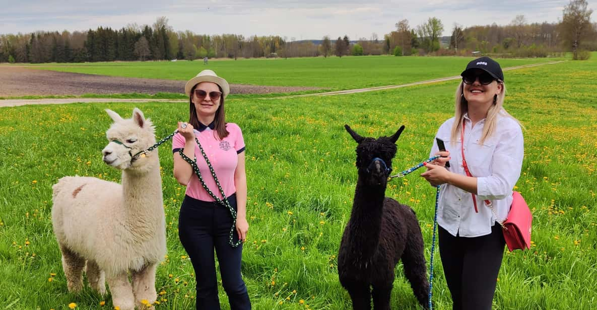 Jettingen-Scheppach: Exclusive Alpaca Couple Hike - Stunning Mindeltal Scenery