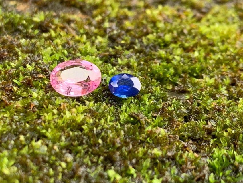 Jewel Hunt Tour of Colombo Shore Excursion From Colombo Port - Gemstone Varieties