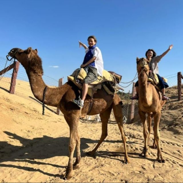 Jodhpur Desert Camel Safari& JeepSafari With Food With Sumer - Transportation and Pickup