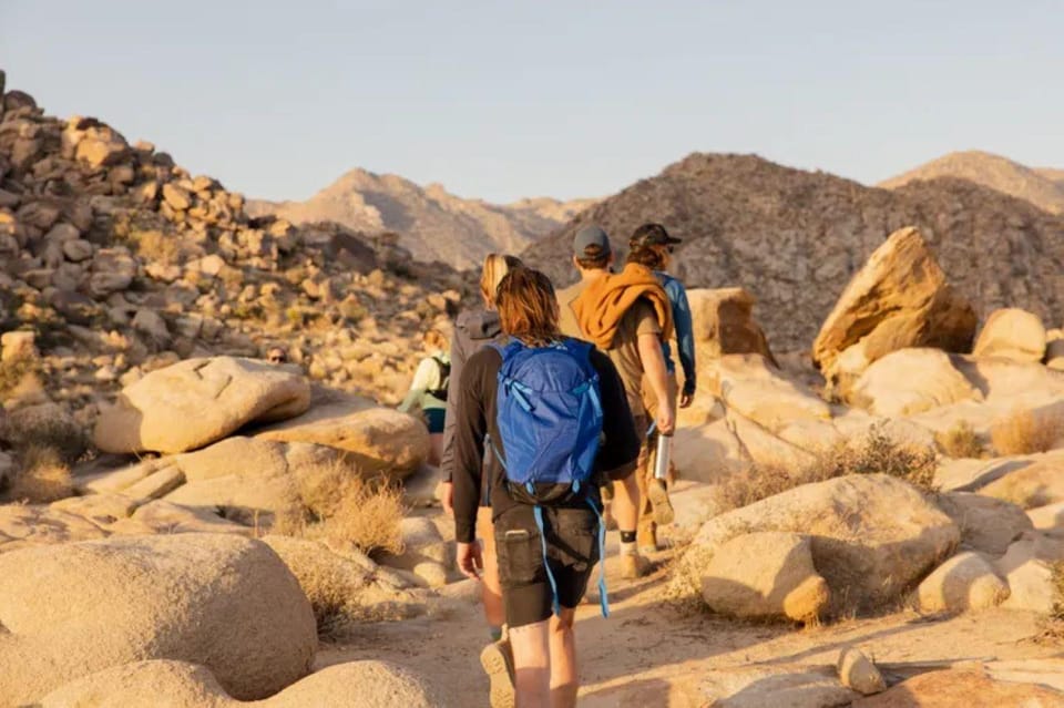 Joshua Tree: Full Moon Hike With Local Guide - Pricing and Availability