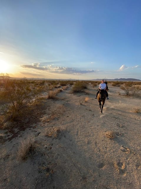 Joshua Tree: Horseback Trail Riding Adventure With a Guide - Experience Highlights